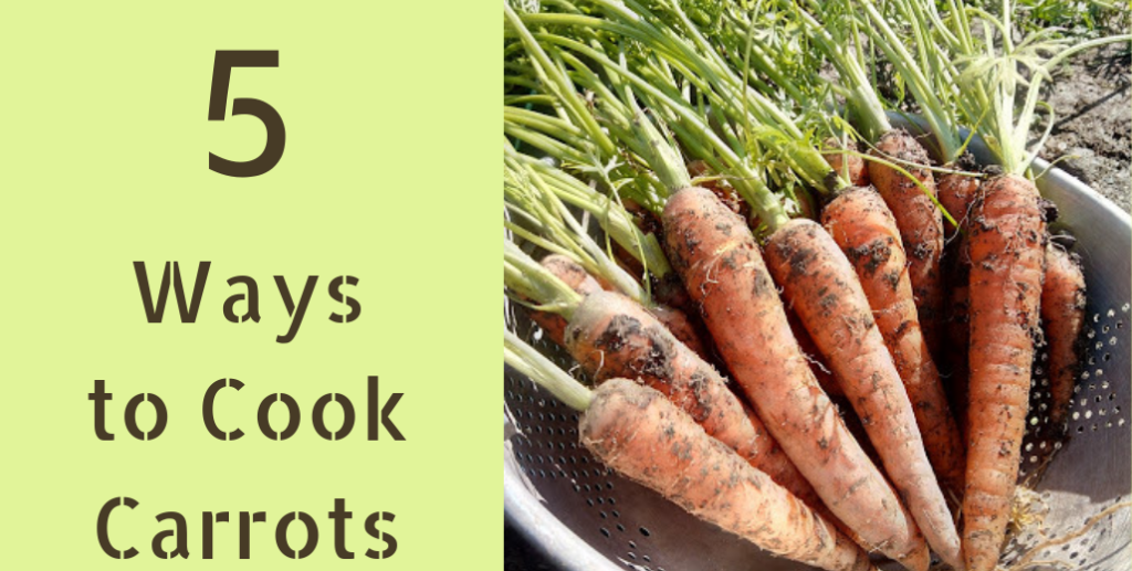 5-ways-to-cook-carrots-one-homely-house