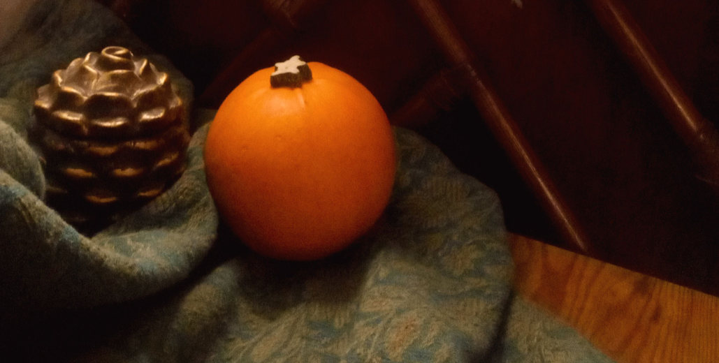 Make your house cozy for fall using all five of your senses! Read how to incorporate sight, smell, touch, taste, and hearing into your home this autumn.