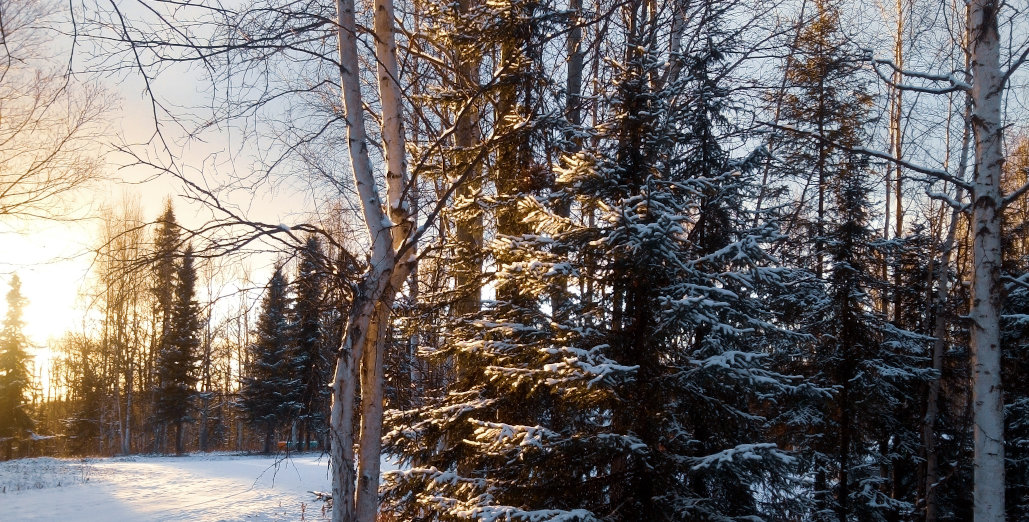 Preparing for a Simple, Meaningful Christmas - One Homely House